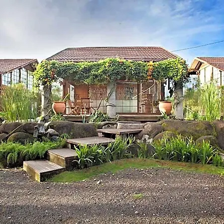Vila Air Natural Resort-2